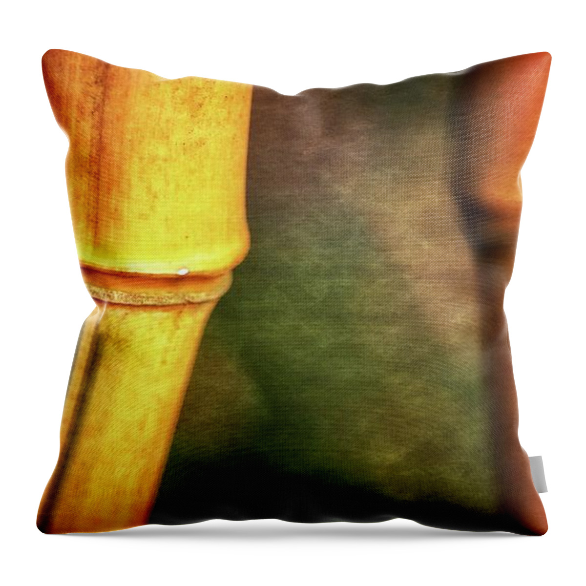 Plants Throw Pillow featuring the photograph Touches 2 by Jaroslav Buna