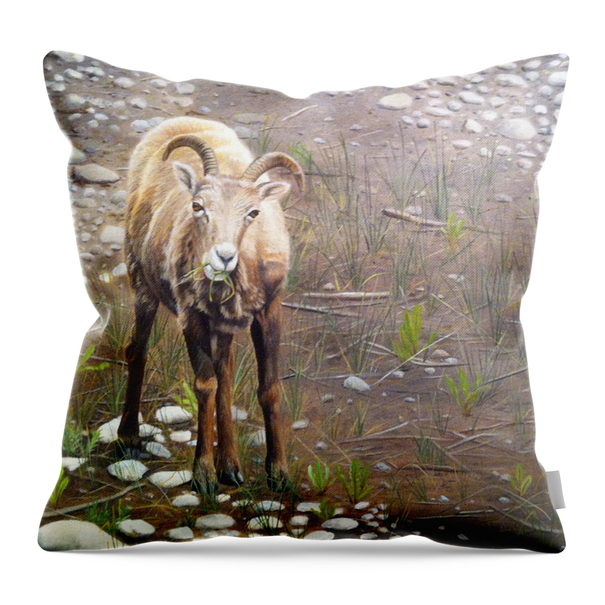 Big Horn Sheep Throw Pillow featuring the painting Tourist Attraction by Tammy Taylor