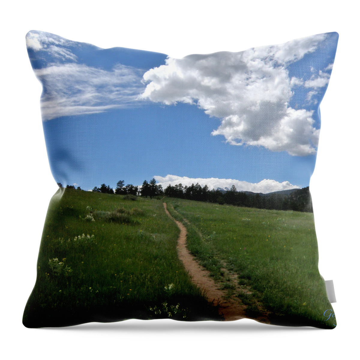 Walk Throw Pillow featuring the photograph Towards the sky by George Tuffy