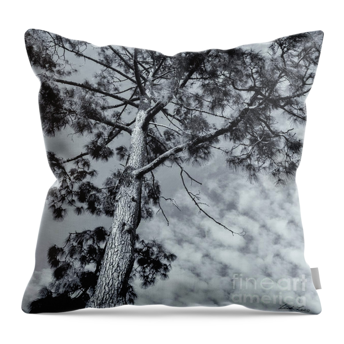 Tree Throw Pillow featuring the photograph Towering by Linda Lees