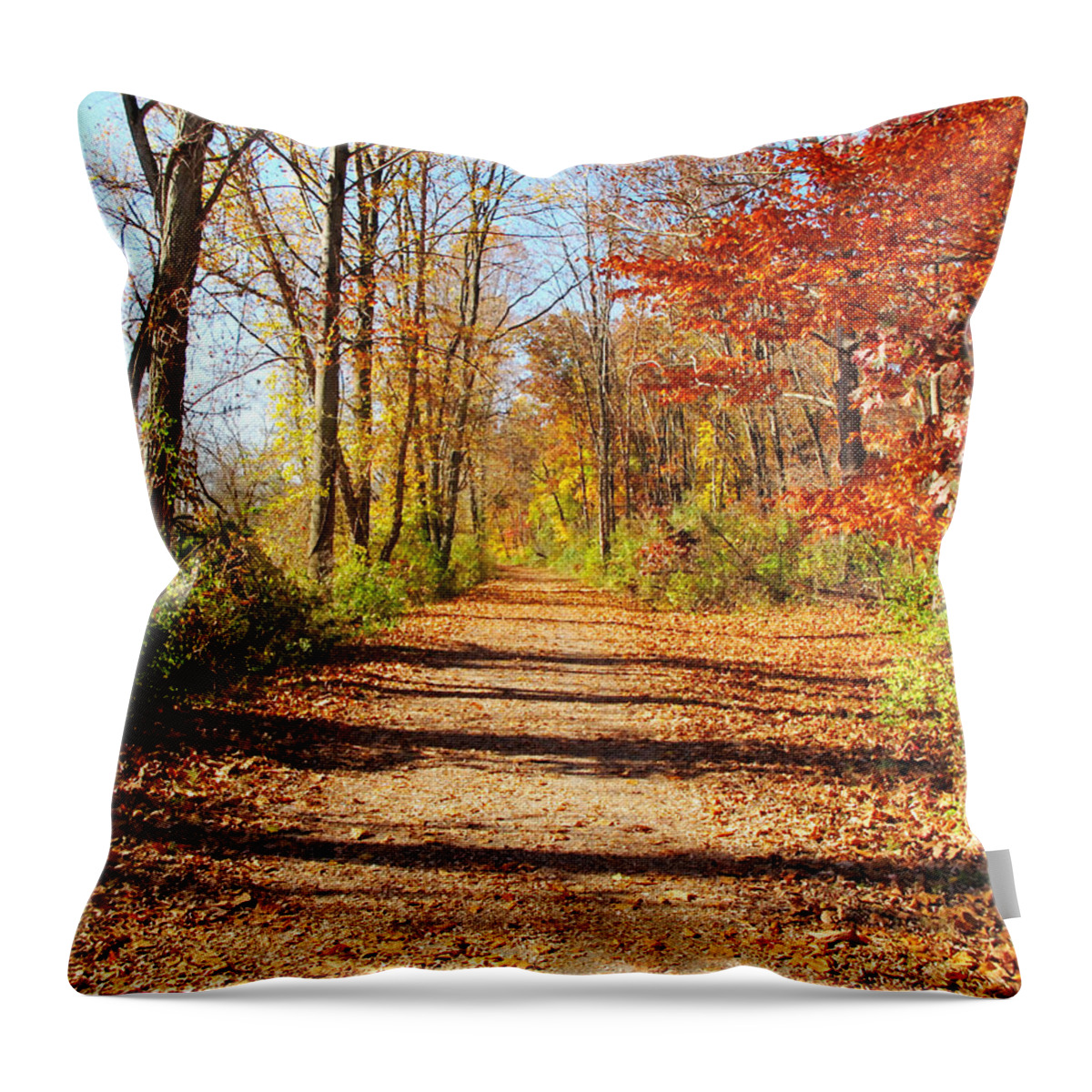 Towpath Throw Pillow featuring the photograph Towpath Behind the Mill by Loretta Luglio