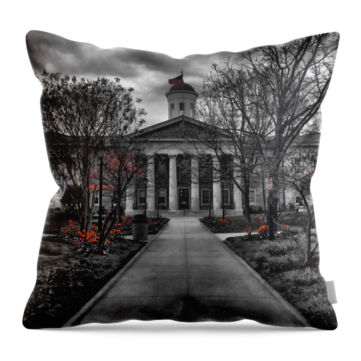 Towson Throw Pillow featuring the photograph Towson Courthouse by Chris Montcalmo