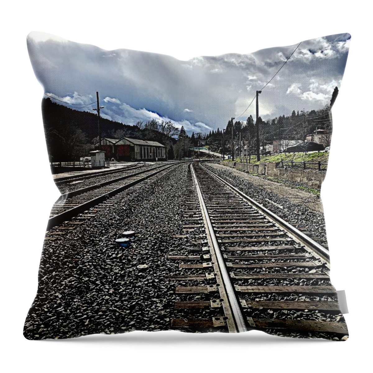 Railroad Throw Pillow featuring the photograph Tracks by JoAnn Lense