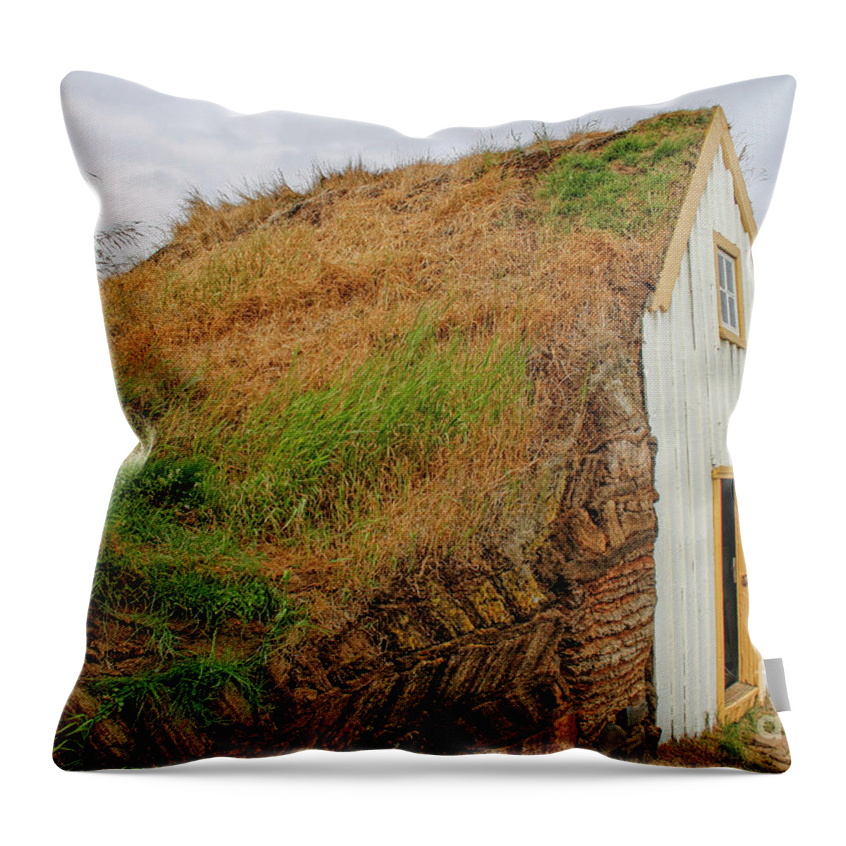 Angle Throw Pillow featuring the photograph Traditional turf houses in Iceland by Patricia Hofmeester