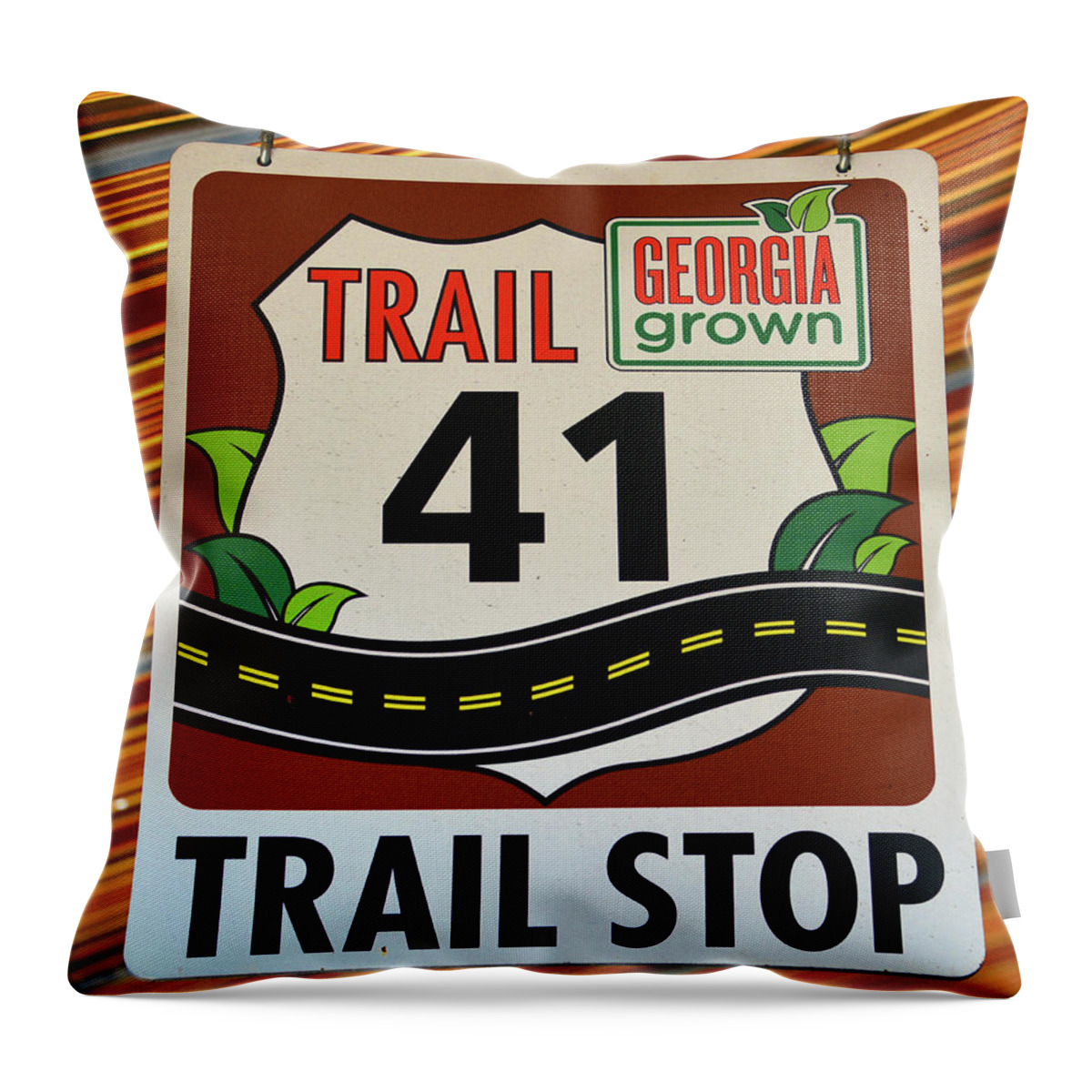 Trail 41 Stop Throw Pillow featuring the photograph Trail 41 stop by David Lee Thompson