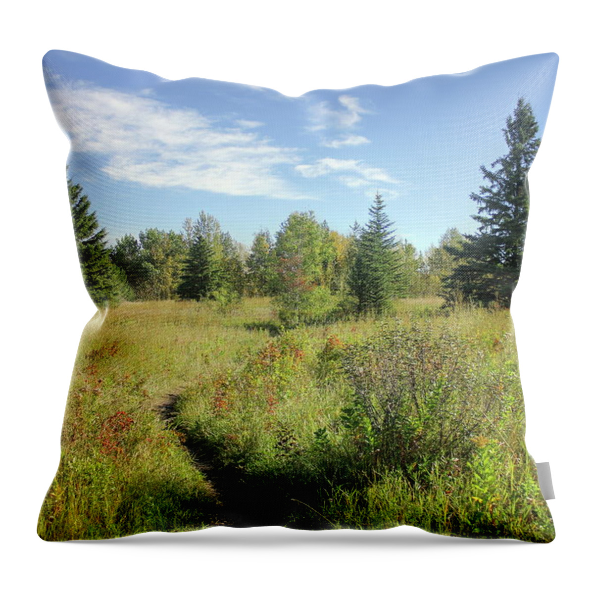 Meadow Throw Pillow featuring the photograph Trail in September Meadow by Jim Sauchyn