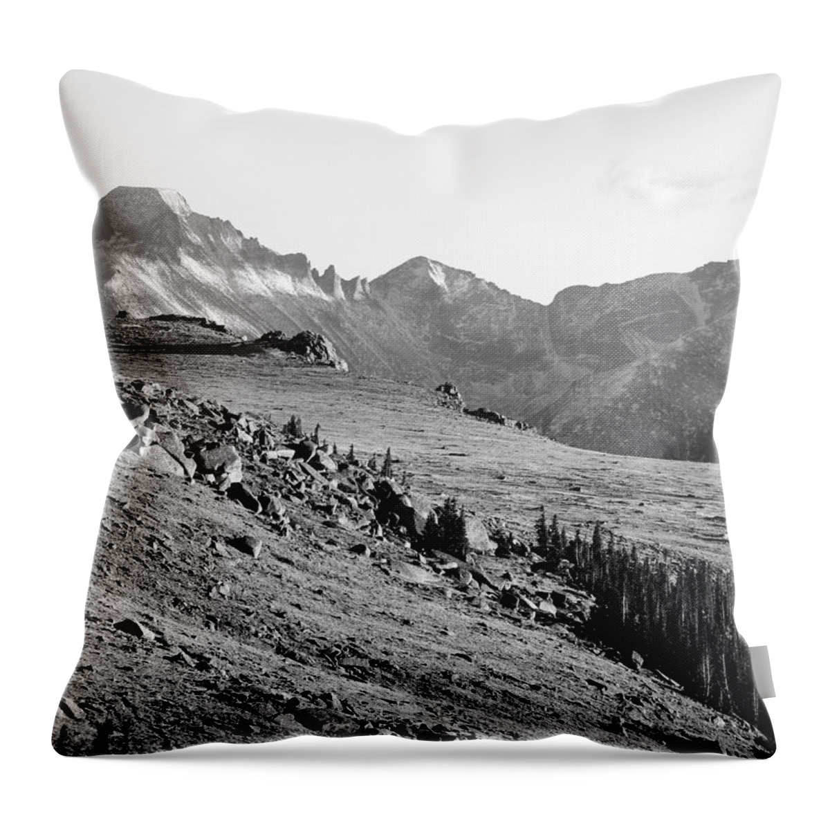 Trail Throw Pillow featuring the photograph Trail Ridge Road 11/2016 by Nicole Belvill