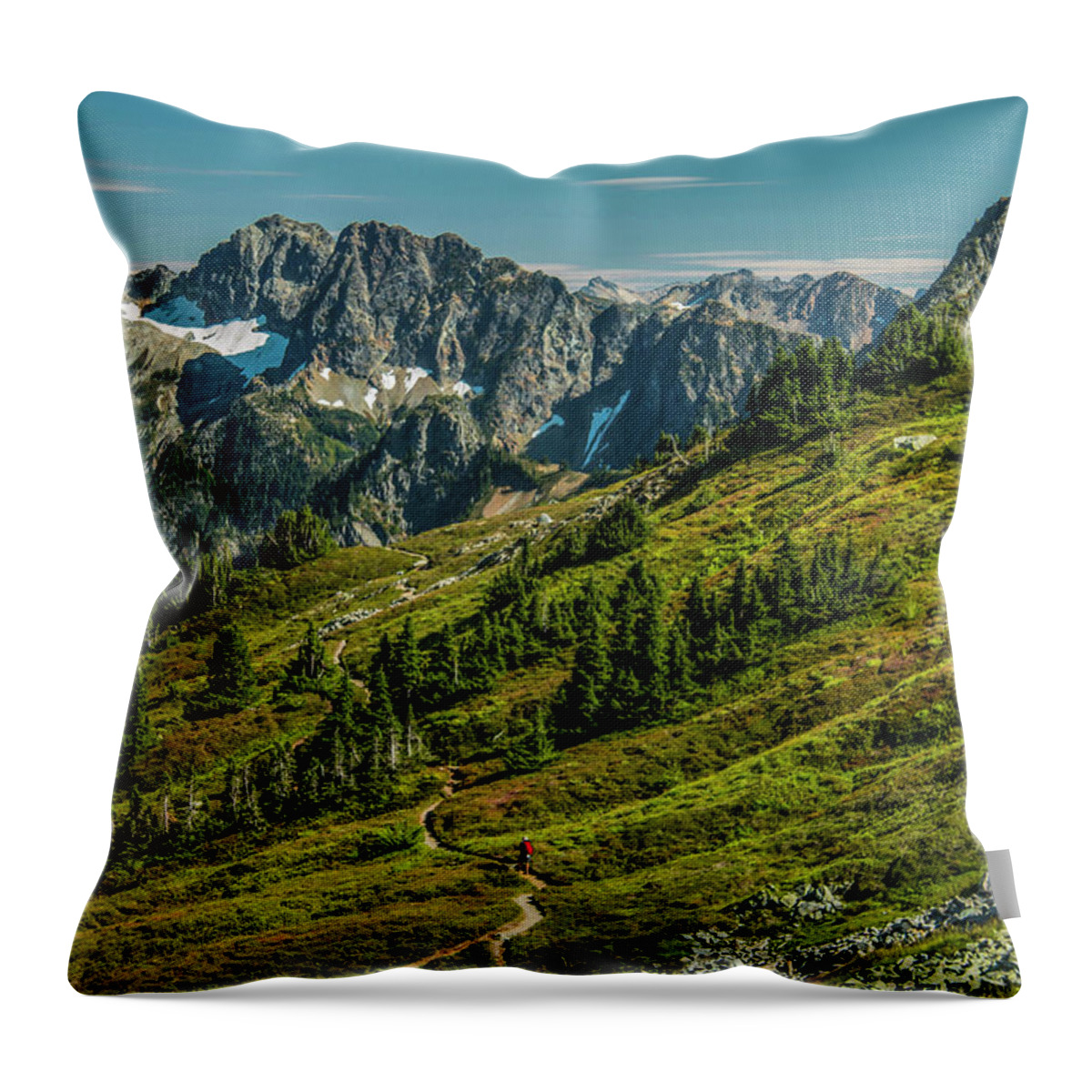 National Park Throw Pillow featuring the photograph Trail Roaming by Doug Scrima