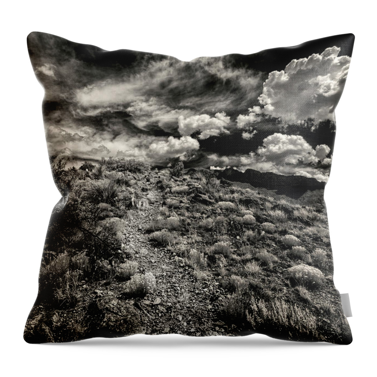 Landscape Throw Pillow featuring the photograph Trail to the Clouds by Michael McKenney