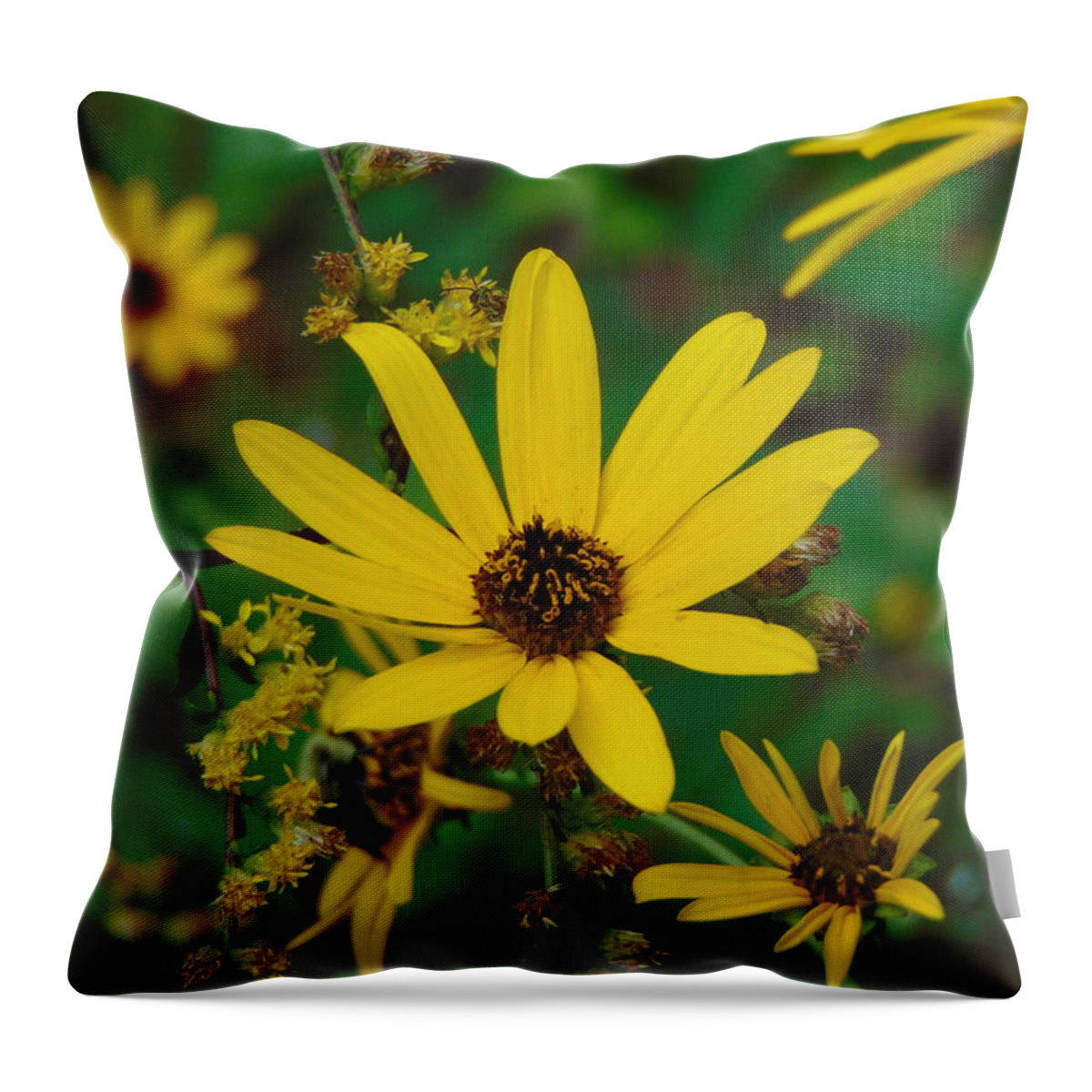 Flower Throw Pillow featuring the photograph Trail Views by Richie Parks