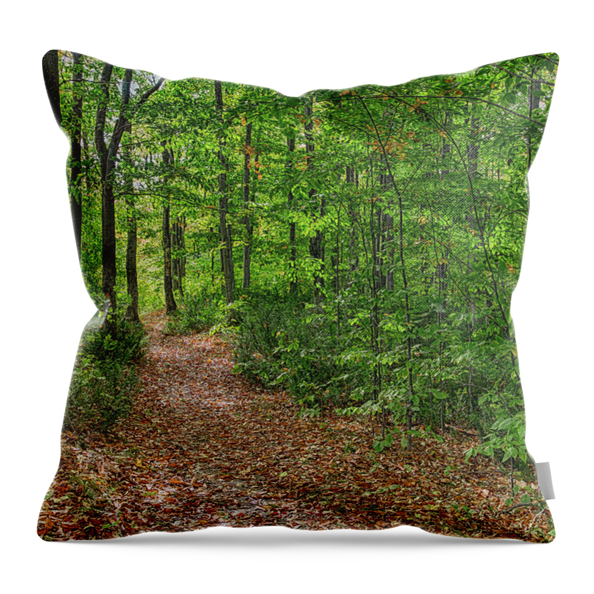 Autumn Throw Pillow featuring the photograph Trailhead by John M Bailey