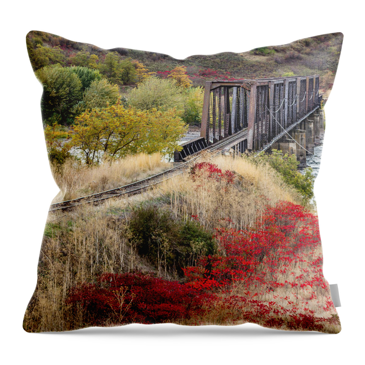 Clearwater Throw Pillow featuring the photograph Train Bridge to Lapwai by Brad Stinson