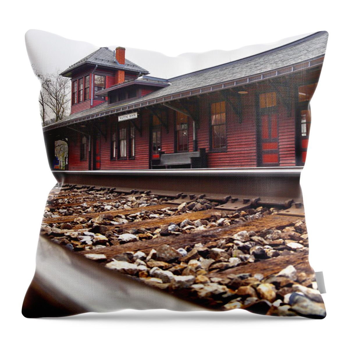 Train Station Throw Pillow featuring the photograph Train Station by Mitch Cat