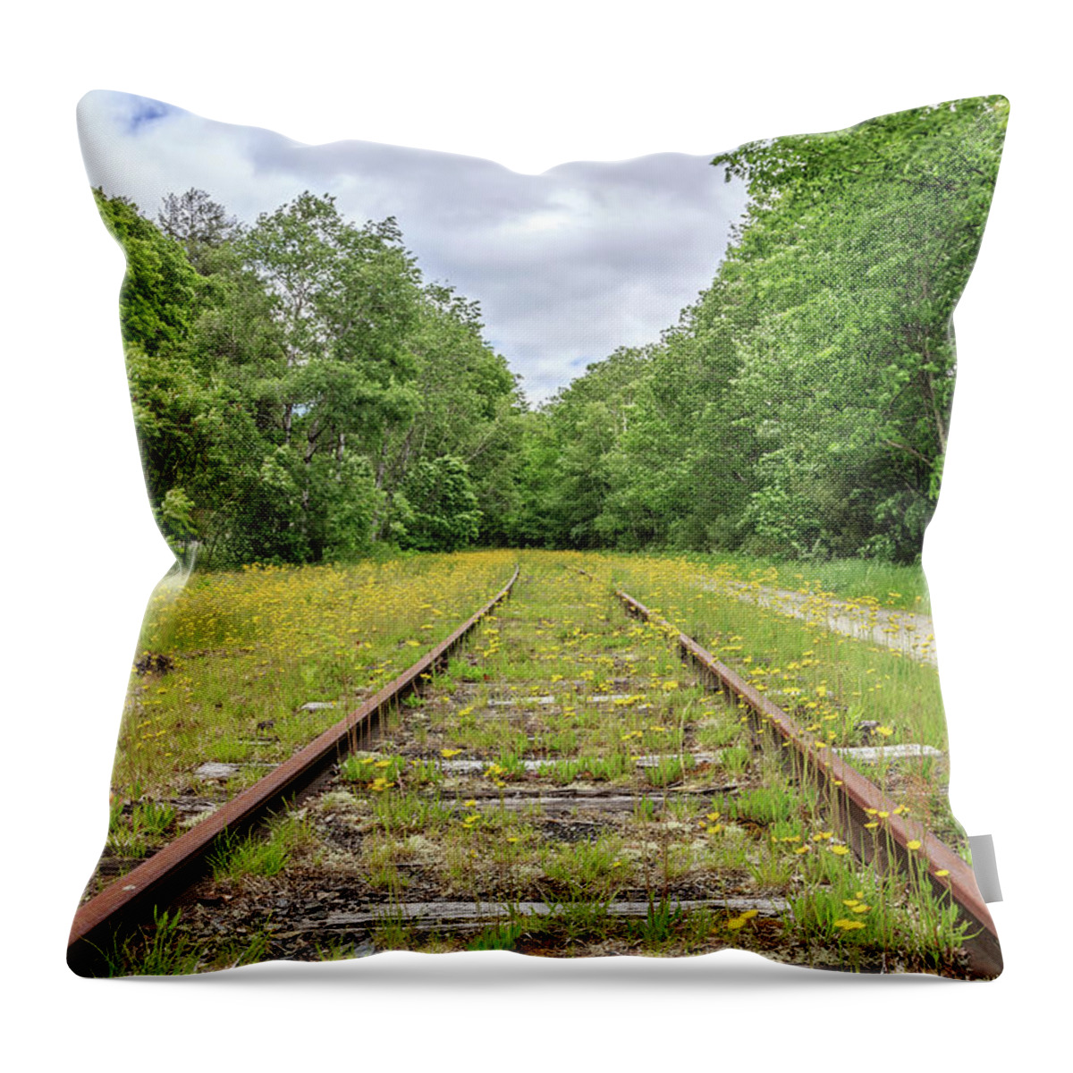Tracks Throw Pillow featuring the photograph Train Tracks and Wildflowers by Edward Fielding