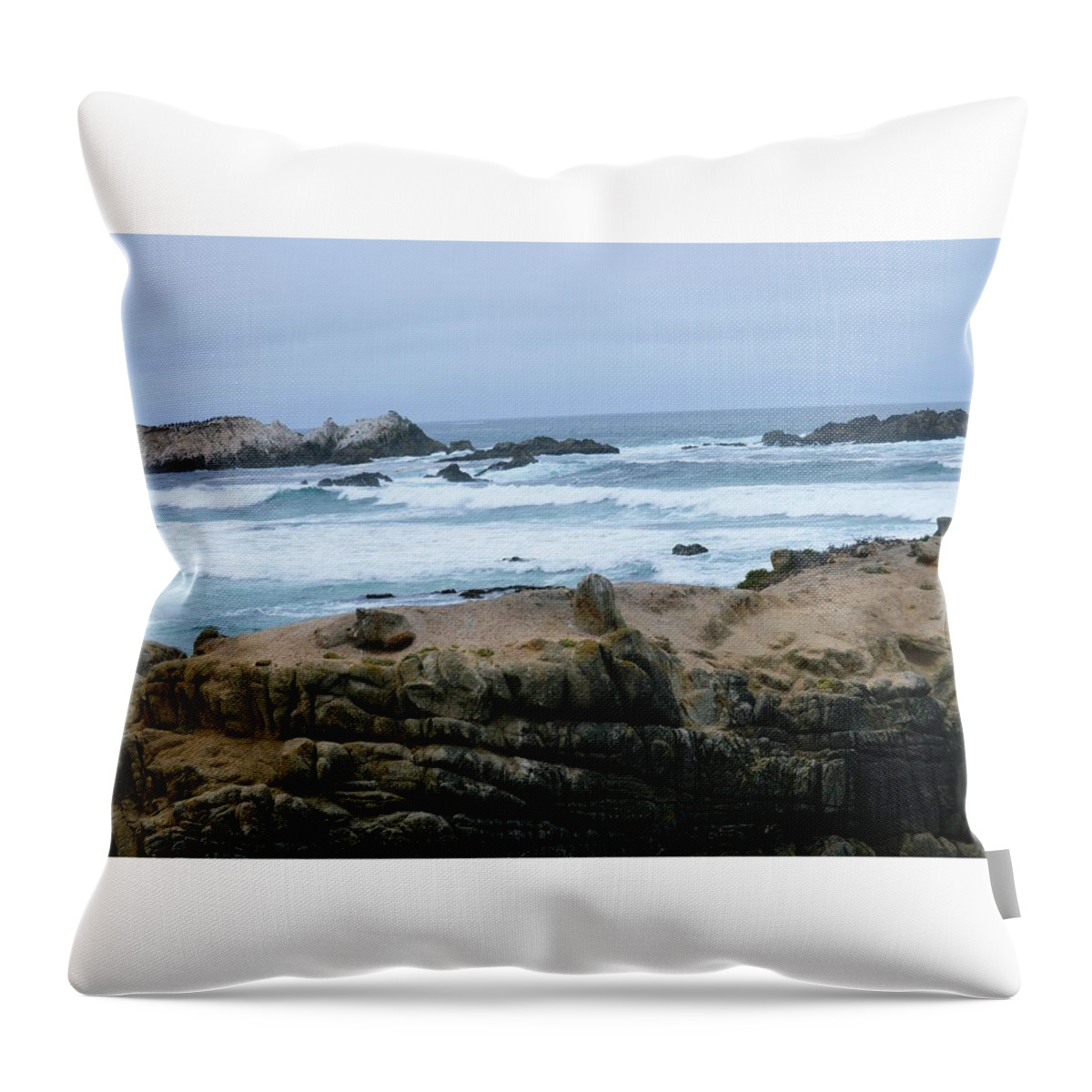 Landscape Throw Pillow featuring the photograph On The Rocks by Marian Jenkins