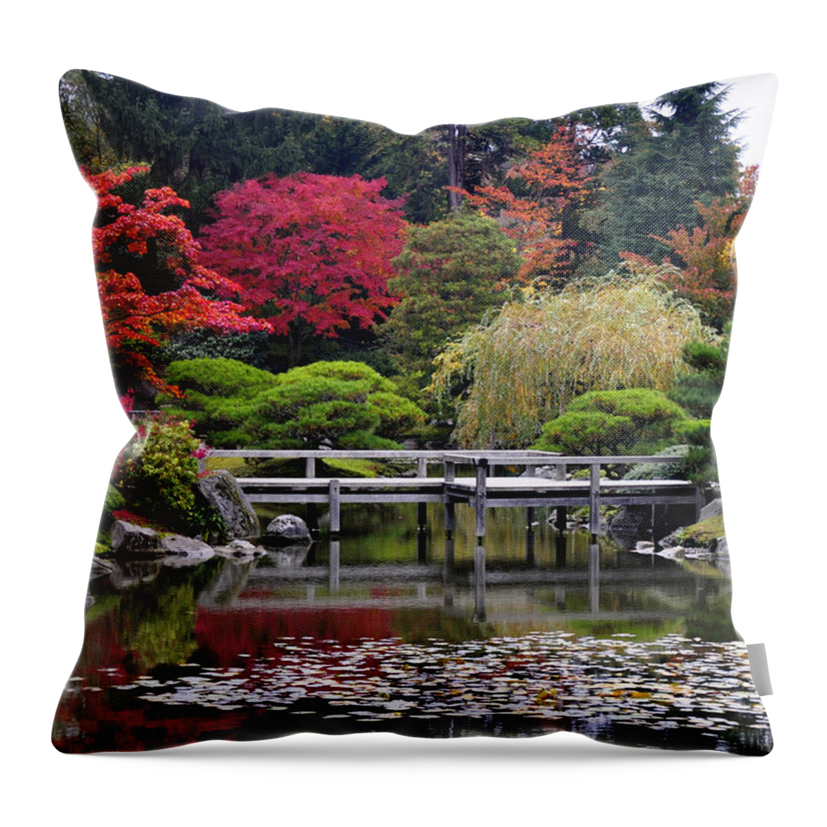 Landscape Throw Pillow featuring the photograph Tranquil Autumn by Emerita Wheeling