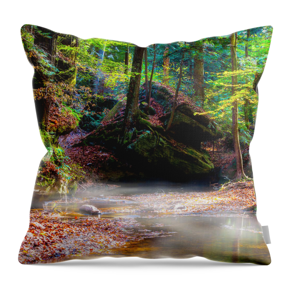 Canyon Throw Pillow featuring the photograph Tranquil Mist by David Morefield