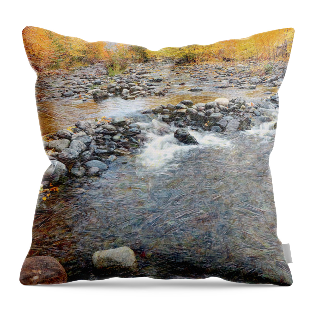 River Throw Pillow featuring the photograph Tranquille Creek # 2 by Ed Hall