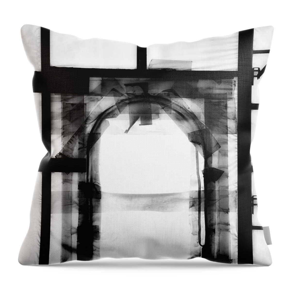 Newel Hunter Throw Pillow featuring the photograph Transition by Newel Hunter