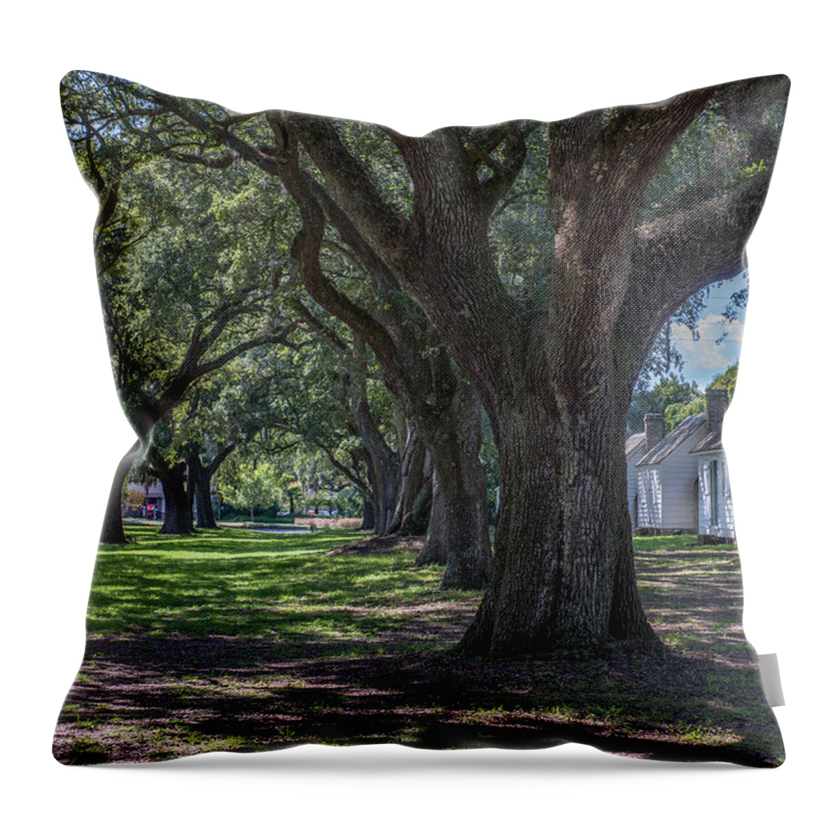 Transition To Freedom Throw Pillow featuring the photograph Transition to Freedom by Dale Powell