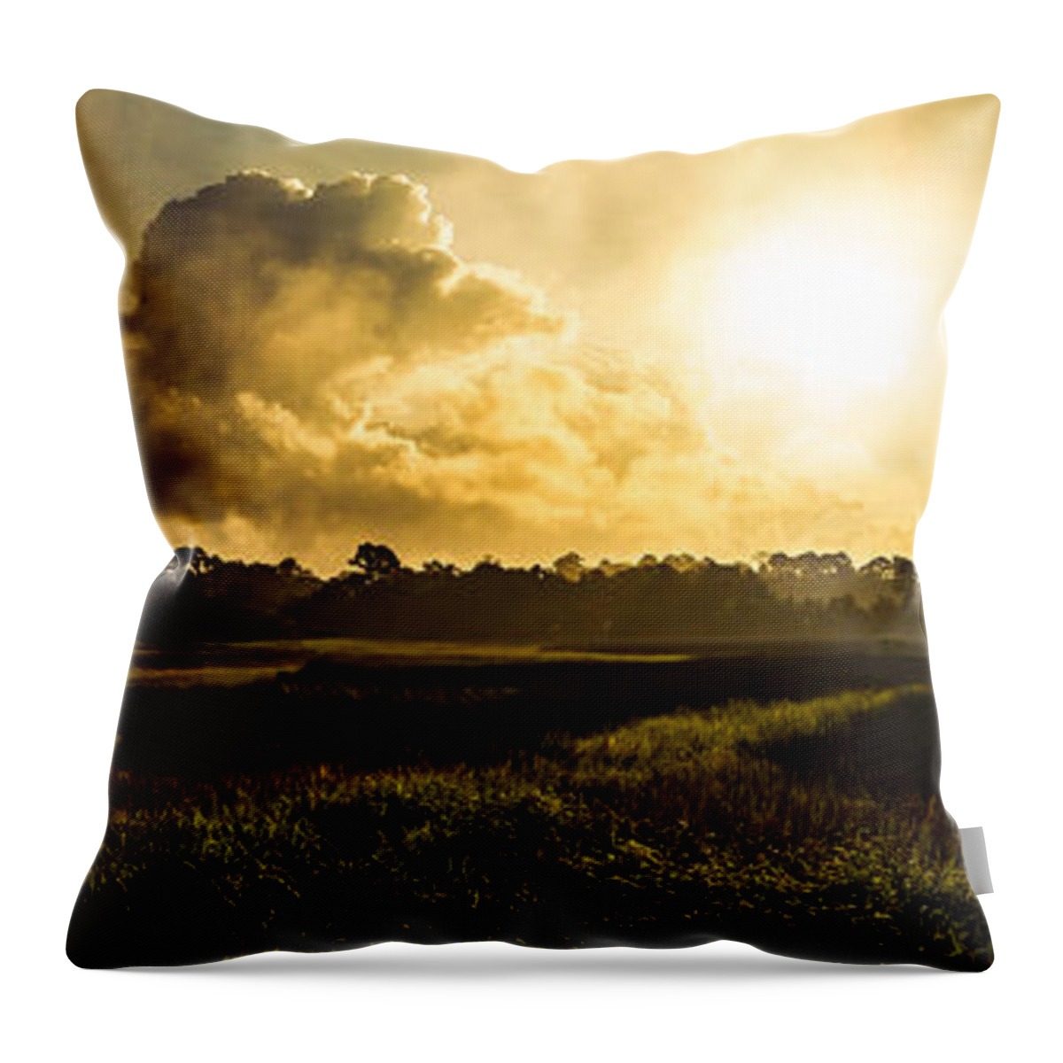 Landscape Throw Pillow featuring the photograph Transitions by Chris Bordeleau