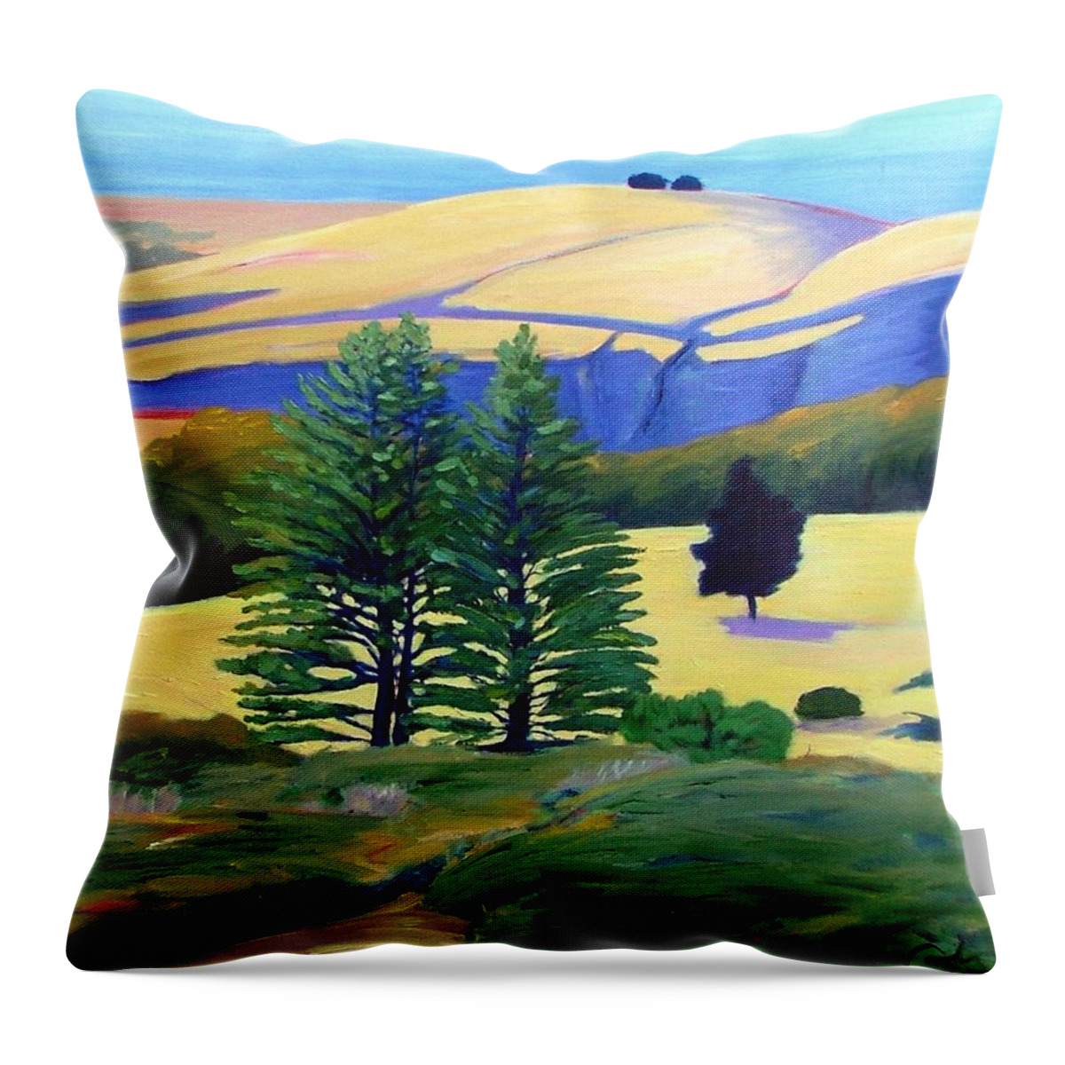 Landscape Throw Pillow featuring the painting Transitions by Gary Coleman