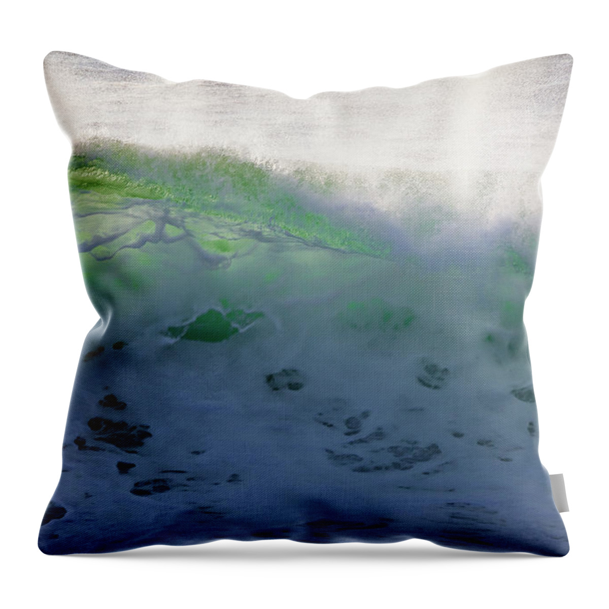 Acadia National Park Throw Pillow featuring the photograph Translucent by Susan Cole Kelly