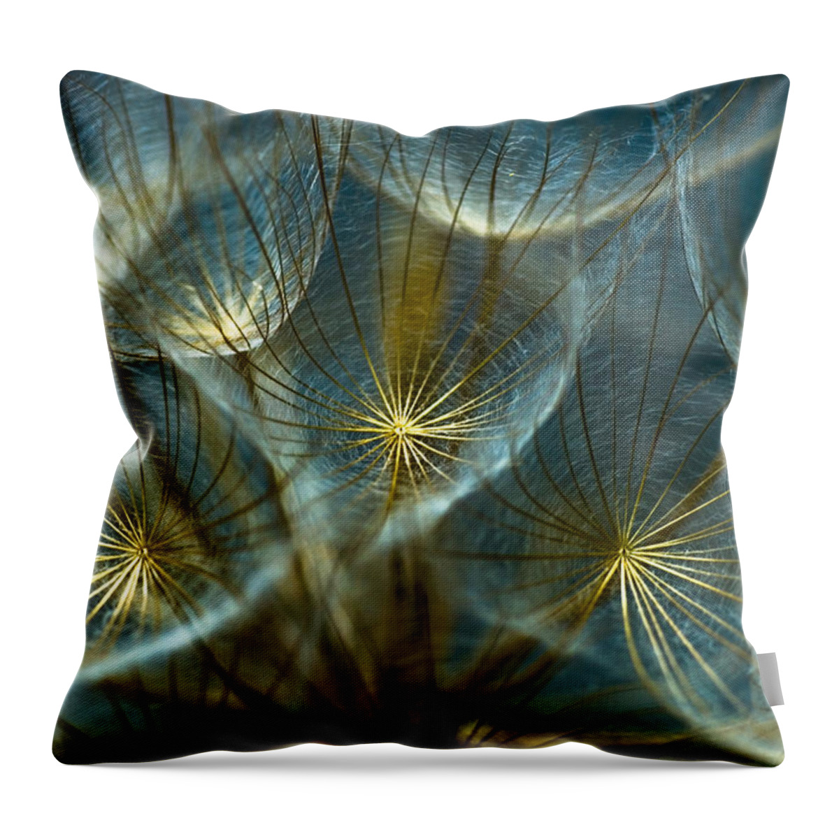 Dandelion Throw Pillow featuring the photograph Translucid Dandelions by Iris Greenwell