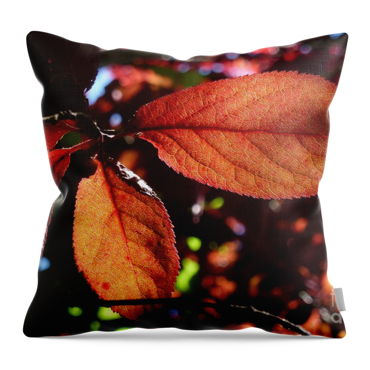 Abstract Throw Pillow featuring the photograph Transparence 17 by Jean Bernard Roussilhe