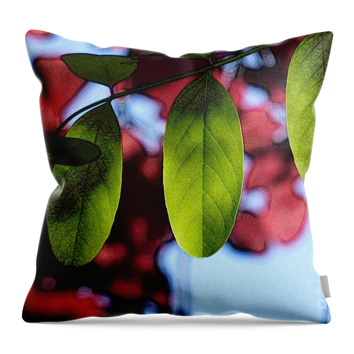 Abstract Throw Pillow featuring the photograph Transparence 21 by Jean Bernard Roussilhe