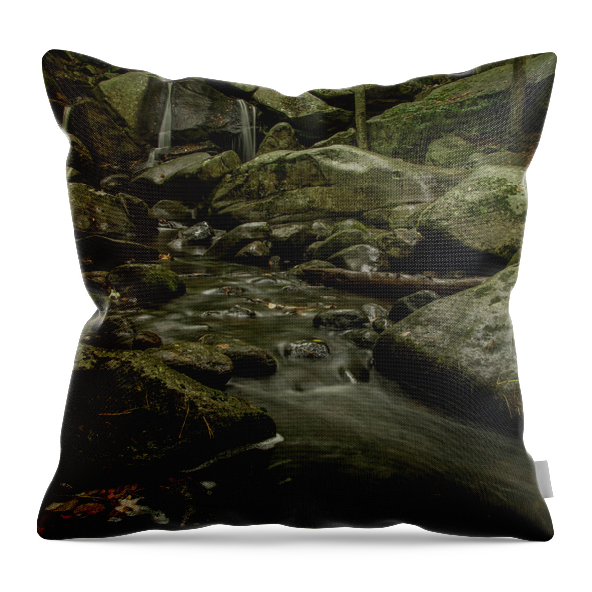 Trap Falls Throw Pillow featuring the photograph Trap Falls by Gales Of November