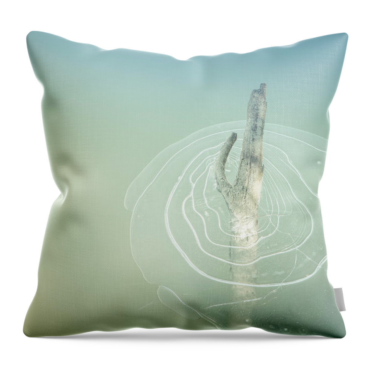 River Throw Pillow featuring the photograph Trapped by Michele Cornelius