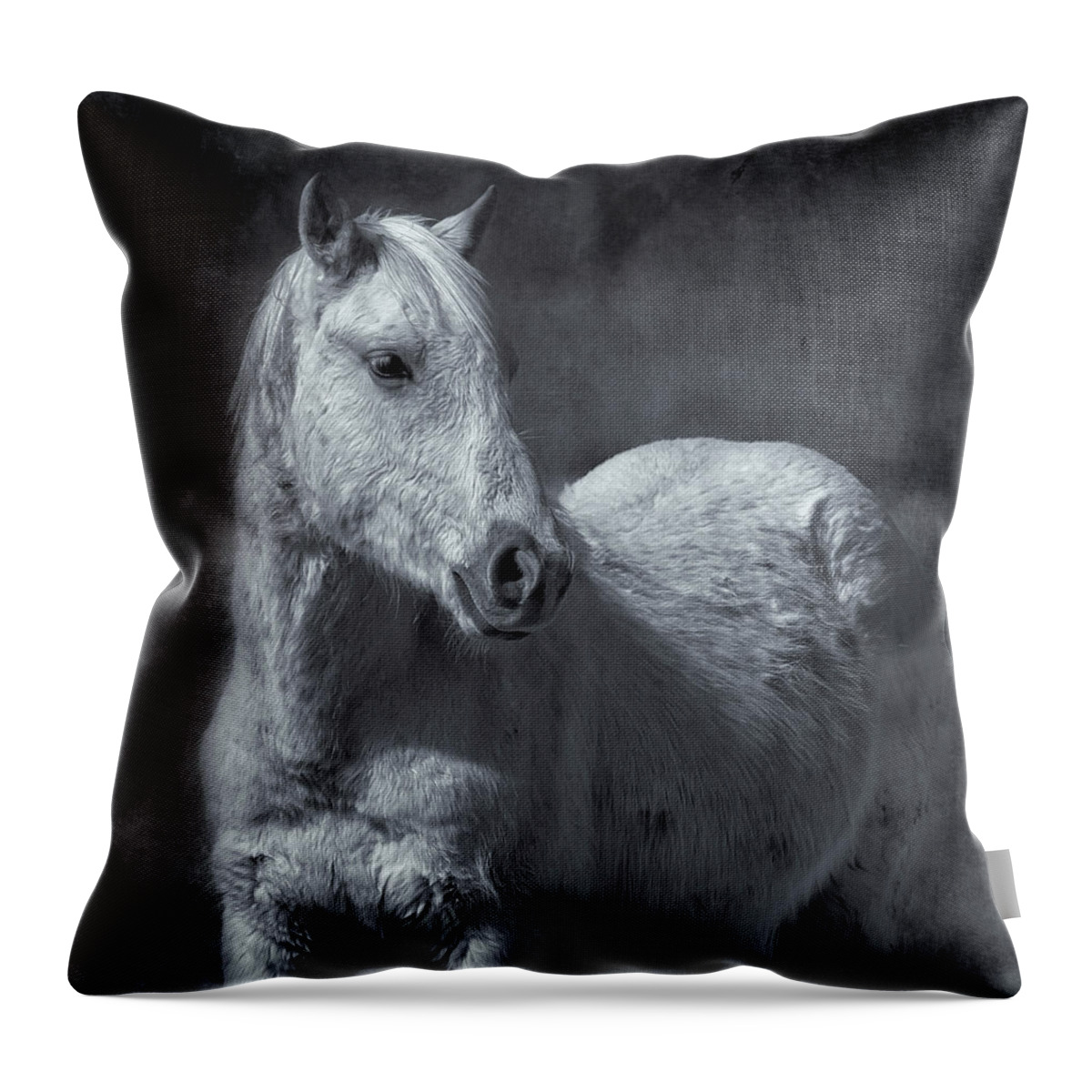 Wild Horses Throw Pillow featuring the photograph Traveler Portrait No 1 BW by Belinda Greb