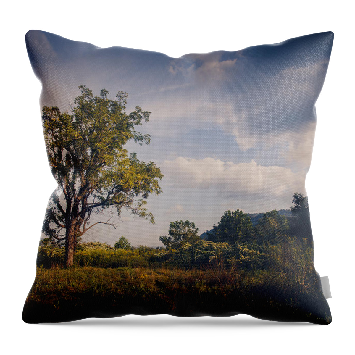 Tree Throw Pillow featuring the photograph Tree 23 by Shane Holsclaw