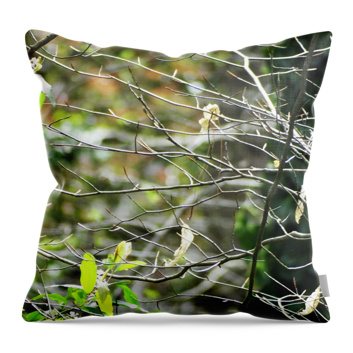 Nature Throw Pillow featuring the photograph Tree 32 Whitby Yard by Lizi Beard-Ward