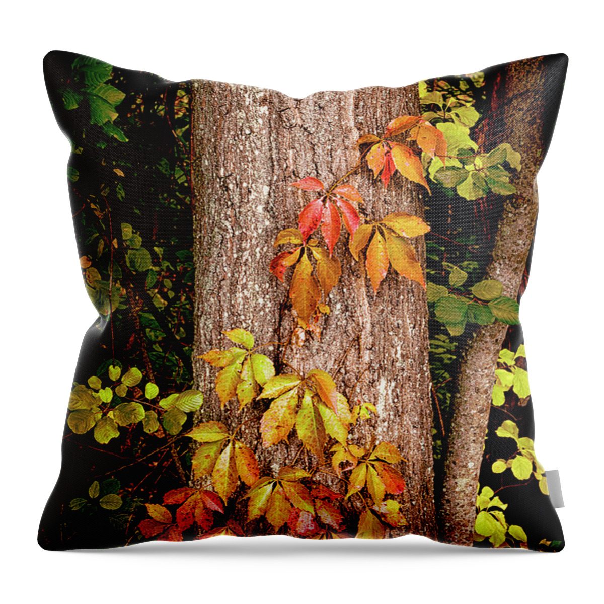 Tree Throw Pillow featuring the photograph Tree adornment by Camille Lopez