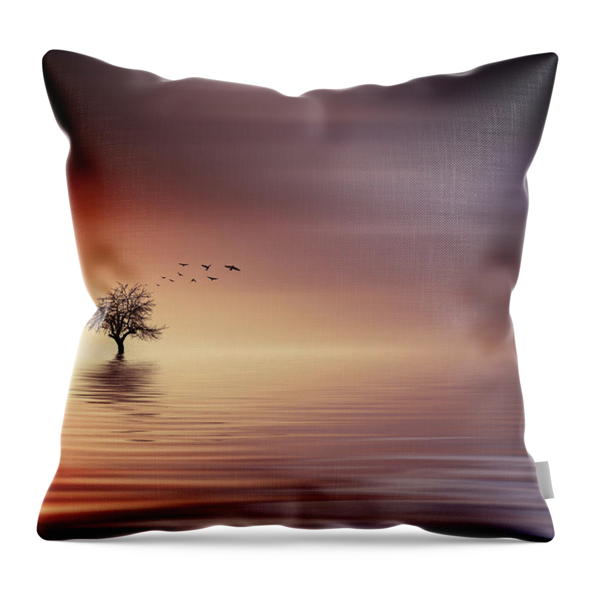 Sunlight Throw Pillow featuring the photograph Tree and birds on lake sunset by Bess Hamiti