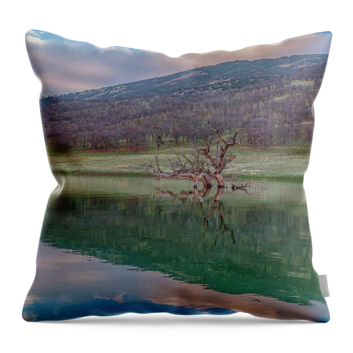 Landscape Throw Pillow featuring the photograph Tree and East Bay Hills at Sunrise by Marc Crumpler