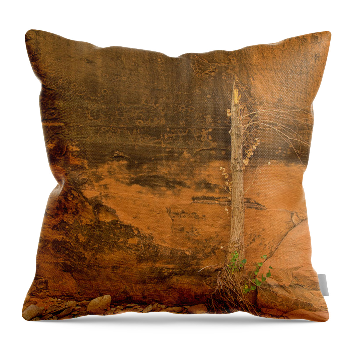Coyote Gulch Throw Pillow featuring the photograph Tree and sandstone by Kunal Mehra