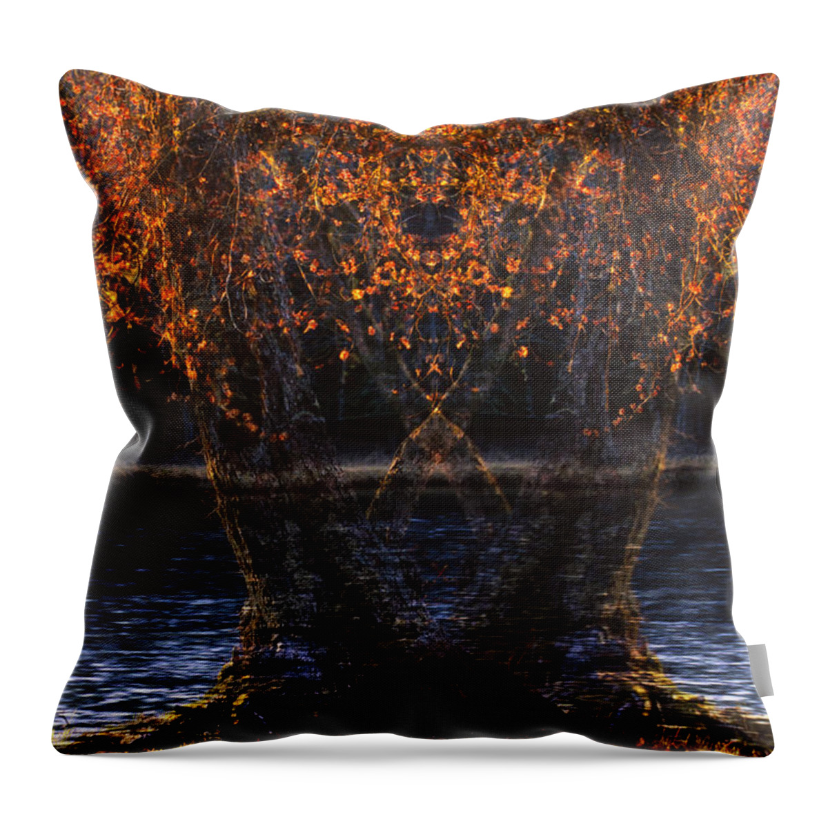 Abstract Throw Pillow featuring the photograph Tree Apparitions  by Irwin Barrett