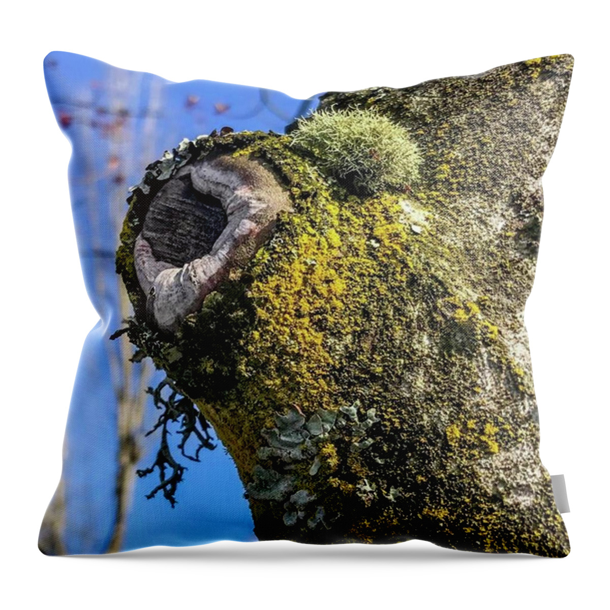 Spring Throw Pillow featuring the photograph Tree Art #pnwonderland #washington by Jerry Renville