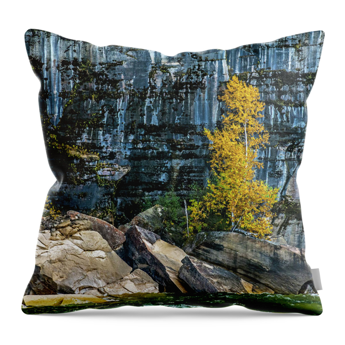 Cruise Throw Pillow featuring the photograph Tree at Picture Rock Cruise by Lonnie Paulson