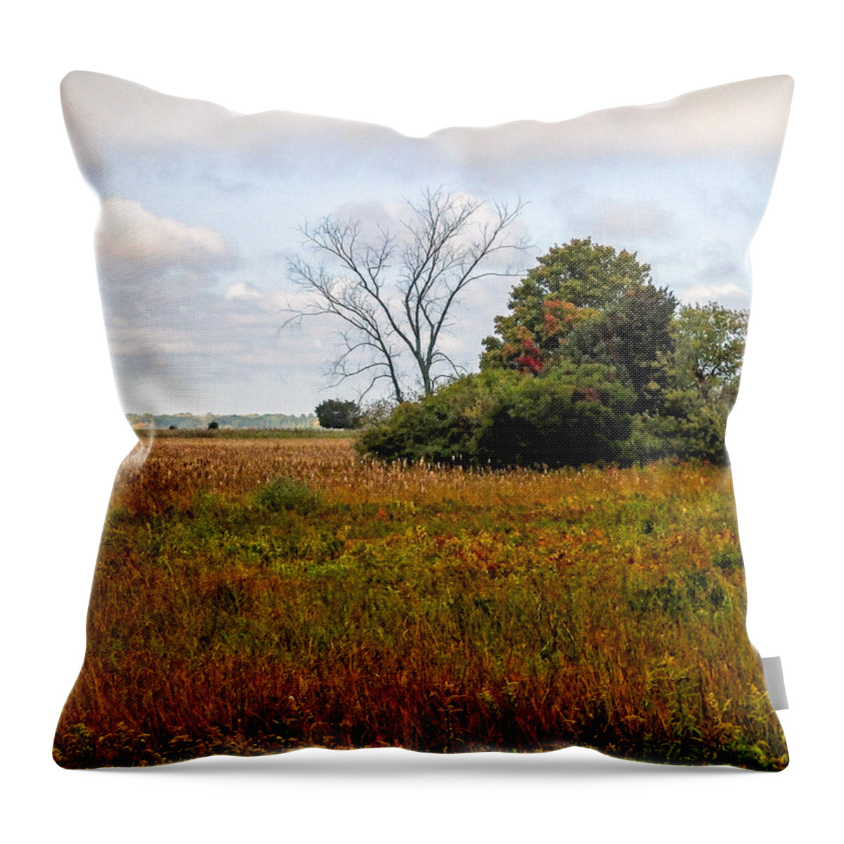 Tree Throw Pillow featuring the photograph Tree at Plum Island by Nancy De Flon