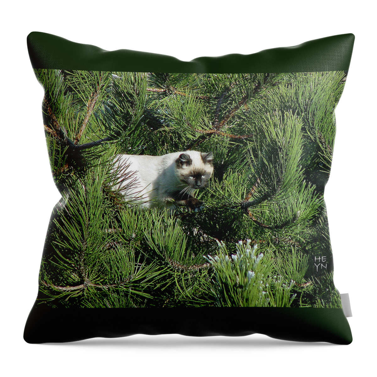 Green Throw Pillow featuring the photograph Tree Bandit by Shirley Heyn