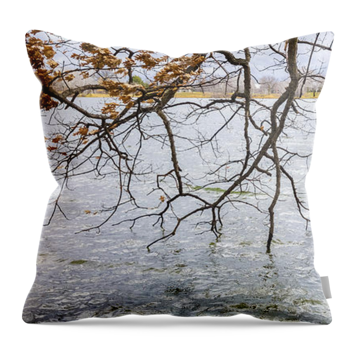 Lake Throw Pillow featuring the photograph Tree Branches Over Lake by Lynn Hansen
