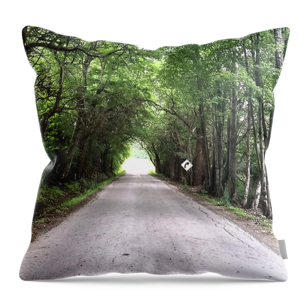 Country Road Throw Pillow featuring the photograph Tree canopy by Kimberly W