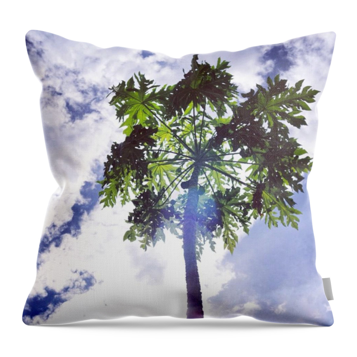 Blue Throw Pillow featuring the photograph Tree, Chiang Mai, Thailand by Aleck Cartwright