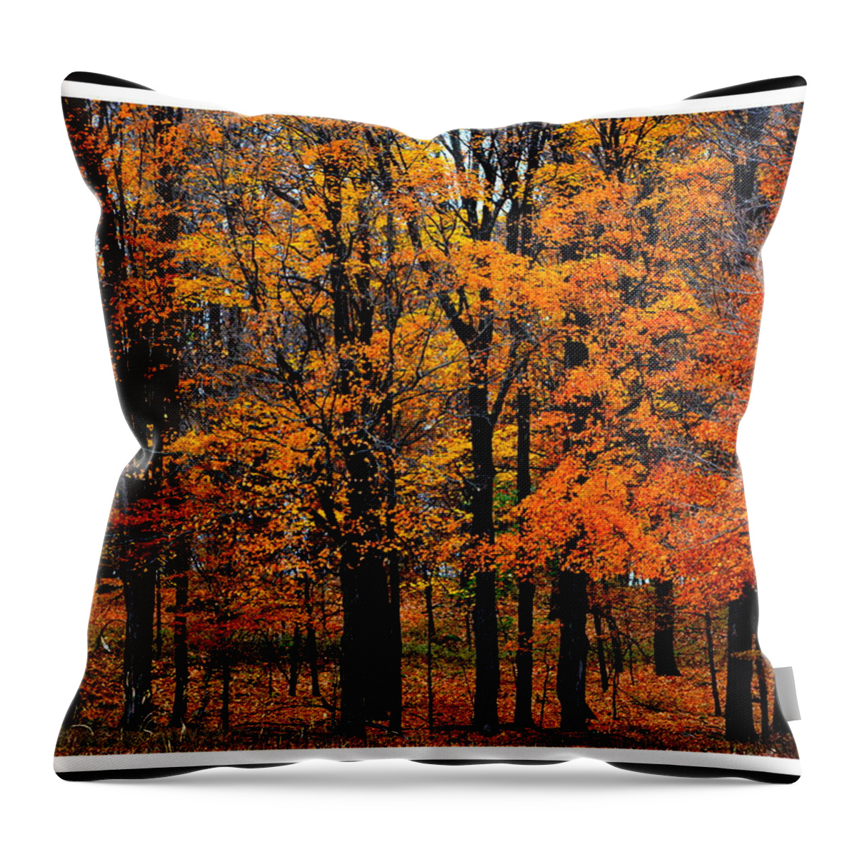 Fall Throw Pillow featuring the photograph Tree Confetti by Kimberly Woyak