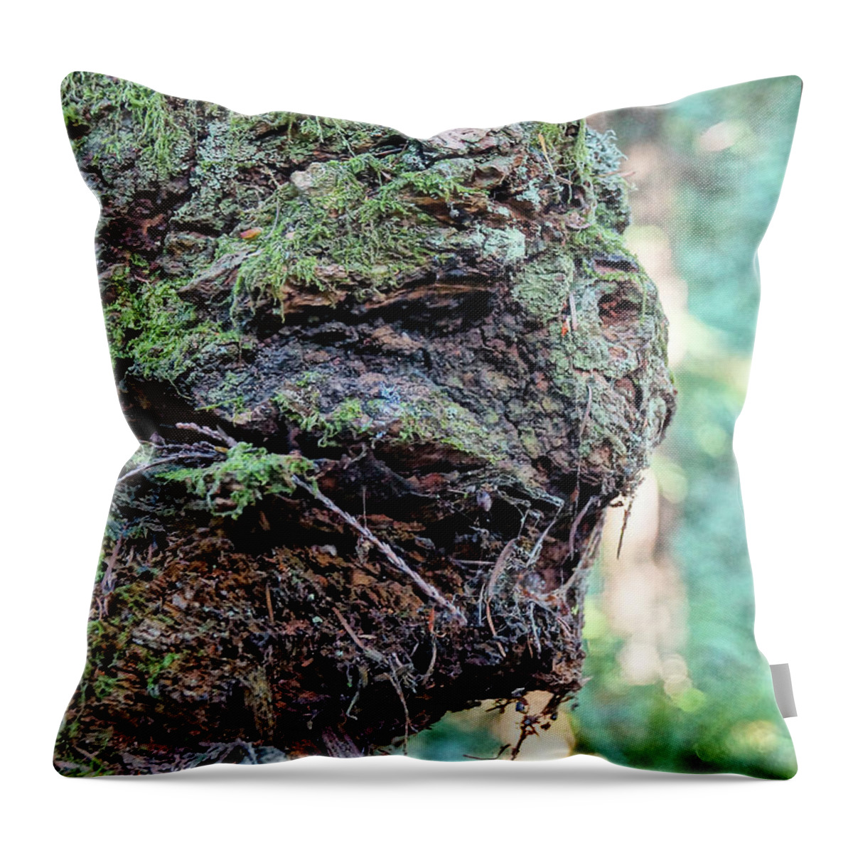 Tree Throw Pillow featuring the photograph Tree Feelings 1754 by Tim Dussault