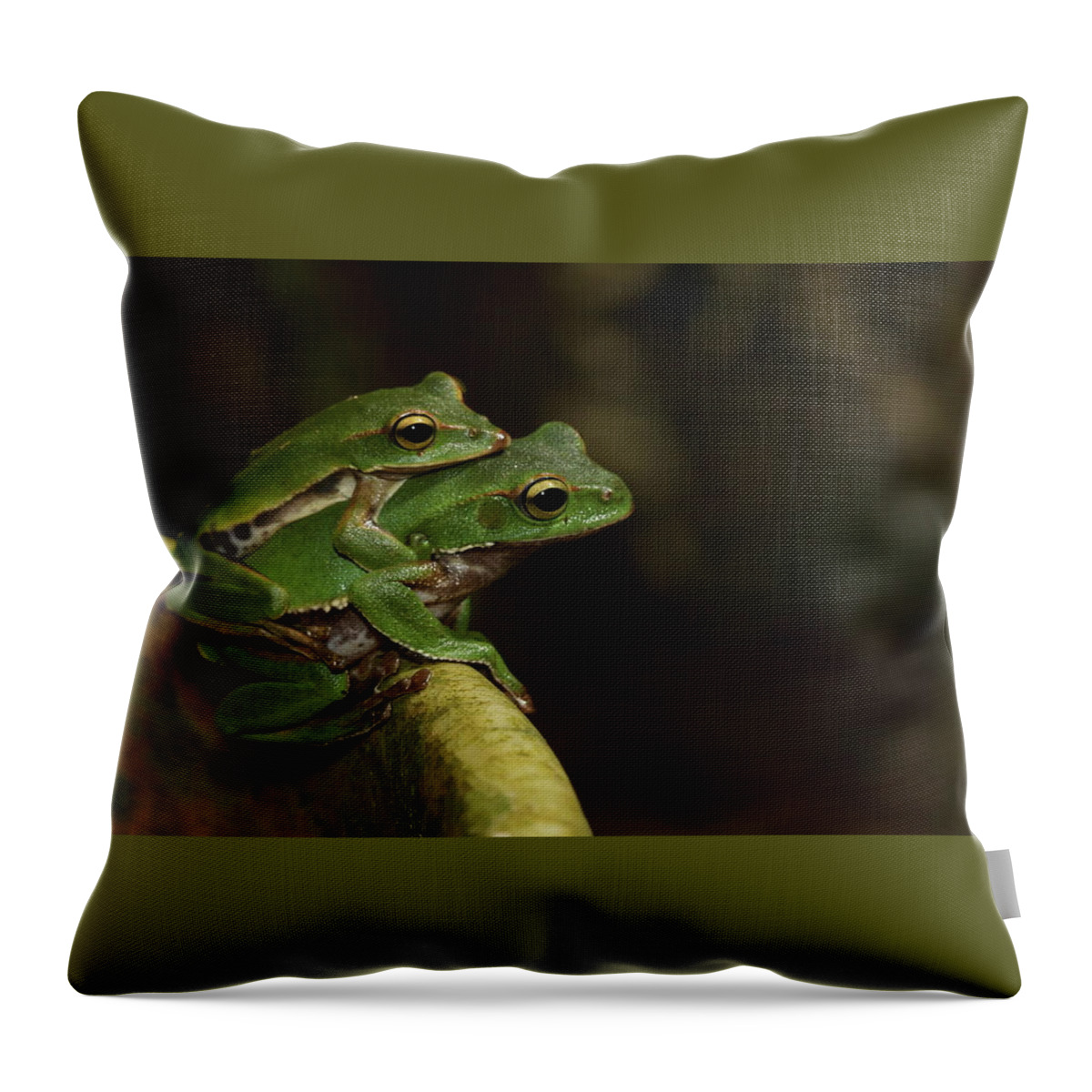 Tree Frog Throw Pillow featuring the digital art Tree Frog by Super Lovely